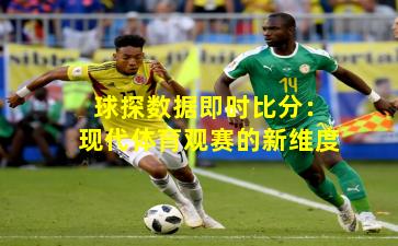 球探数据即时比分：现代体育观赛的新维度