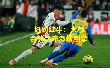 纽约红牛：大都会的足球激情引擎