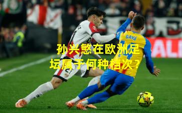 孙兴慜在欧洲足坛属于何种档次？