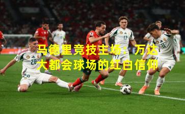 马德里竞技主场：万达大都会球场的红白信仰