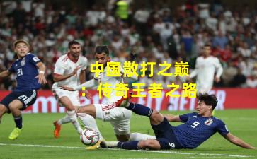 中国散打之巅：传奇王者之路