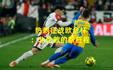 热刺征战欧会杯：北伦敦的新征程