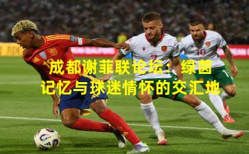 成都谢菲联论坛：绿茵记忆与球迷情怀的交汇地