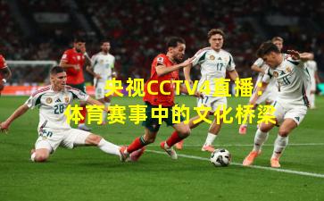 央视CCTV4直播：体育赛事中的文化桥梁
