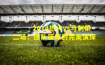 2014热火vs马刺第二场:团队篮球的完美演绎