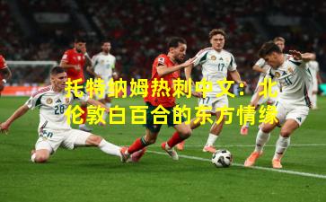 托特纳姆热刺中文：北伦敦白百合的东方情缘