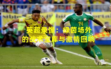 英超录像：绿茵场外的战术宝库与激情回响