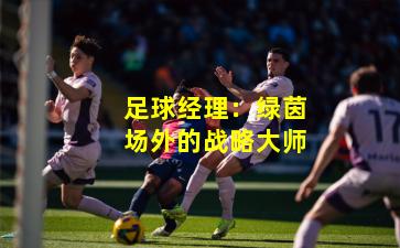 足球经理：绿茵场外的战略大师